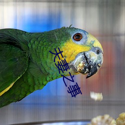 夫妻之事 ��小腹）