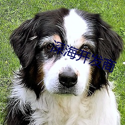 深海开发(fā)商