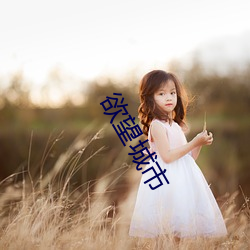 欲望城市