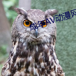 成(chéng)年AV动漫(màn)网(wǎng)站(zhàn)18禁
