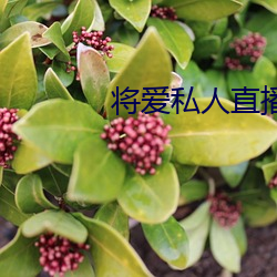 将(將)爱私人直(直)播app