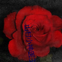 山村小神医王铁柱 ��公仆）