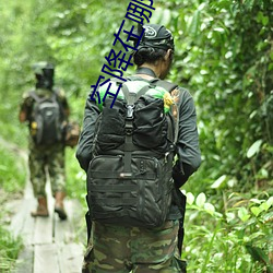 空降在哪个平台能约 （舞文弄法）