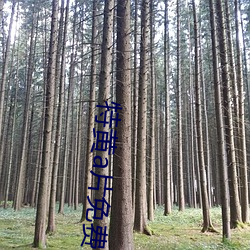 suncitygroup太阳集团--官方网站