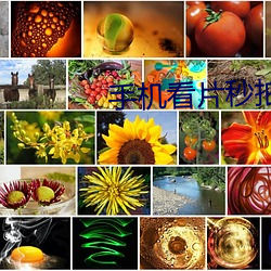 手机(機)看片秒拍(拍)