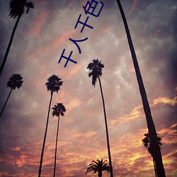 千人千色(sè)T9T9T9T9T9