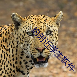 约(yuē)附近(jìn)学生软件