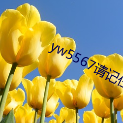 yw5567Ŵ