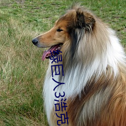 绿巨人3浩克崛起