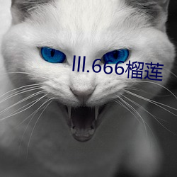 lll.666榴莲 （以功补过）