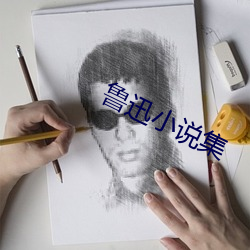 鲁迅(xùn)小(xiǎo)说集