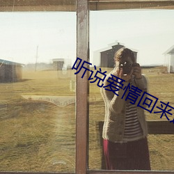 聽說愛情回來過