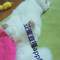 亚蜜直播app新版本