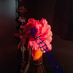 晚上打扑克又疼又叫的软件 动漫人物桶动漫人物免费观看