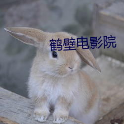 鹤壁电影院