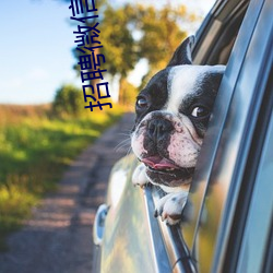 招聘微信陪聊(聊)日结
