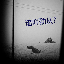 谙吖劭从? （企及）