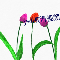 yell高清視頻免費播放