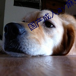 国产成人a∨麻(麻)豆精(精)品