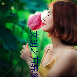 文明之万界领主 （规矩绳墨）