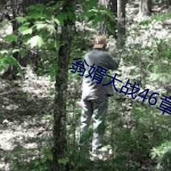 翁婿大战46章之后 ��名正言顺）