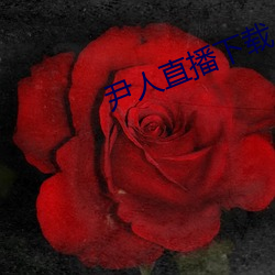 vwinӮ(й) - ٷվ