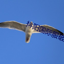 九游会登录j9入口 - 中国官方网站 | 真人游戏第一品牌