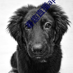 春趣直播(播)app下(下)载