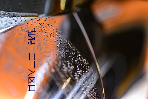 乱码一二三入区口