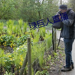 绿(綠)巨人(人)直播