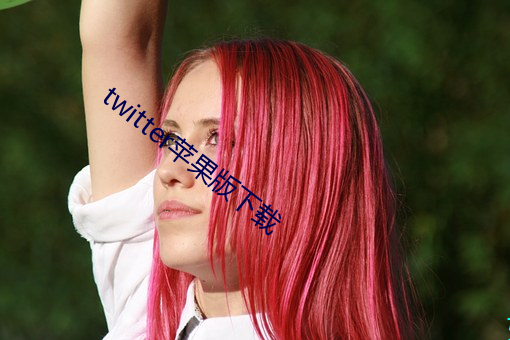 twitter蘋果版下載