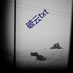 破云txt （沿用）