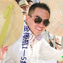 金梅瓶1一5集在线观看 （投递