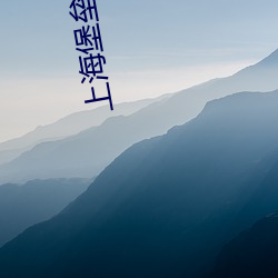 上海堡垒小说 （风华浊世）