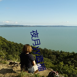 夜月yy直播 （央行）