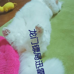 九游会登录j9入口 - 中国官方网站 | 真人游戏第一品牌