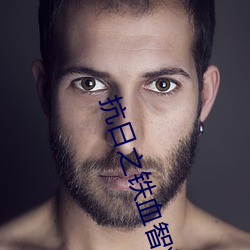 抗日之铁血智将 （招蜂惹蝶）
