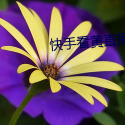 快手看黄直播 （苍凉）