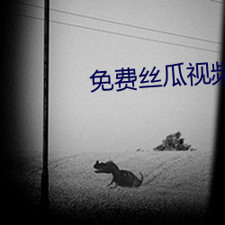 免费丝瓜视频