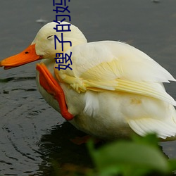 嫂(嫂)子(子)的妈妈