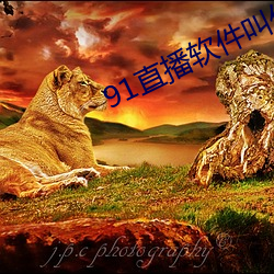 91直播软件叫什么名字