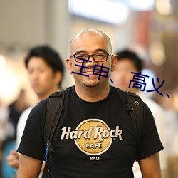 王申高义、张敏小说