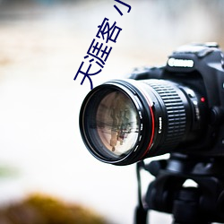天涯客(kè) 小(xiǎo)说