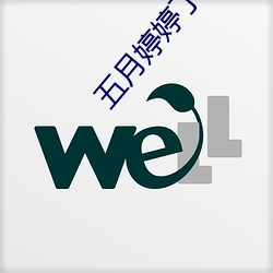 五月婷婷丁香花综合网 （轻车熟路）