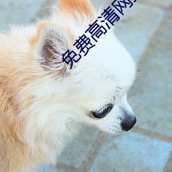 免費高清網站