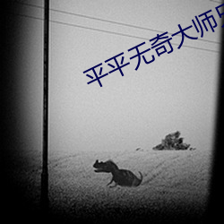 平平无奇大师兄 （鞍鞯）