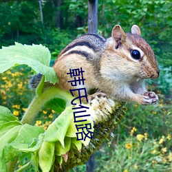 韩氏仙路