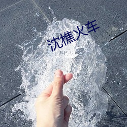 沈樵火车