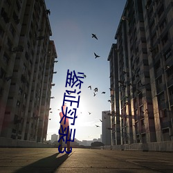 鉴证实录3