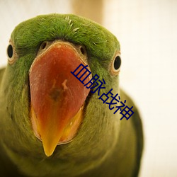血脉战神